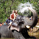 Illustration for article titled Exciting Things to Do in Goa in Monsoon - Car Rental INC